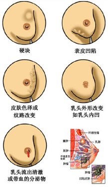 &#108;&#101;&#121;&#117;&#20048;&#40060;